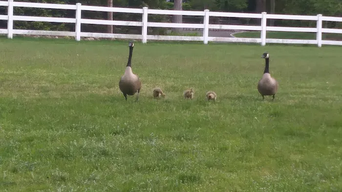 Irene Habernickel Family Park Picture 9