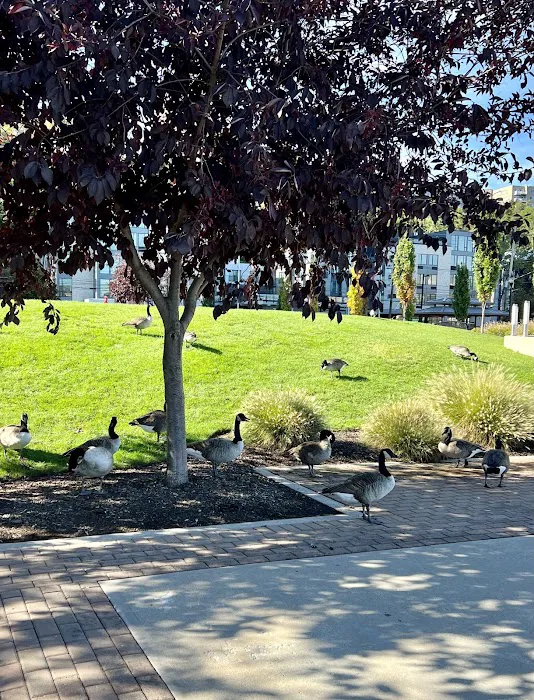 Guttenberg/North Bergen Waterfront Park Picture 9