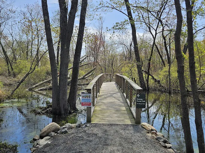 Rockland Lake Nature Center Picture 10