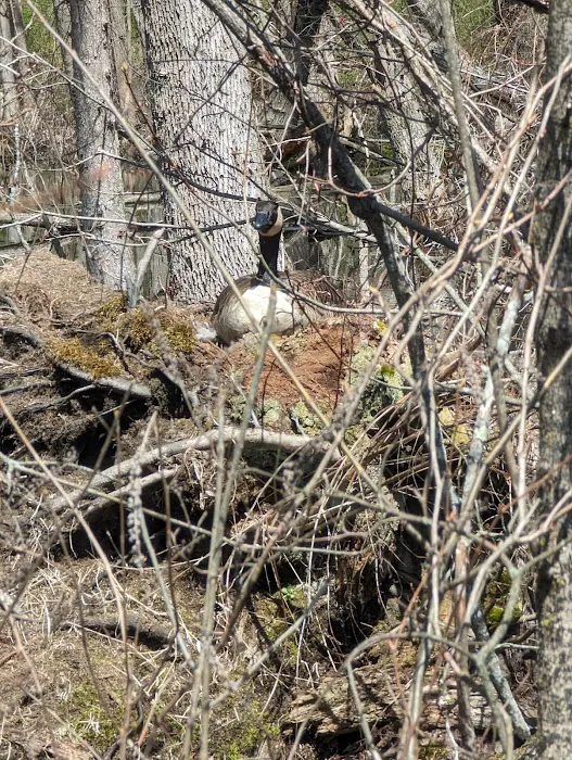 Rockland Lake Nature Center Picture 2