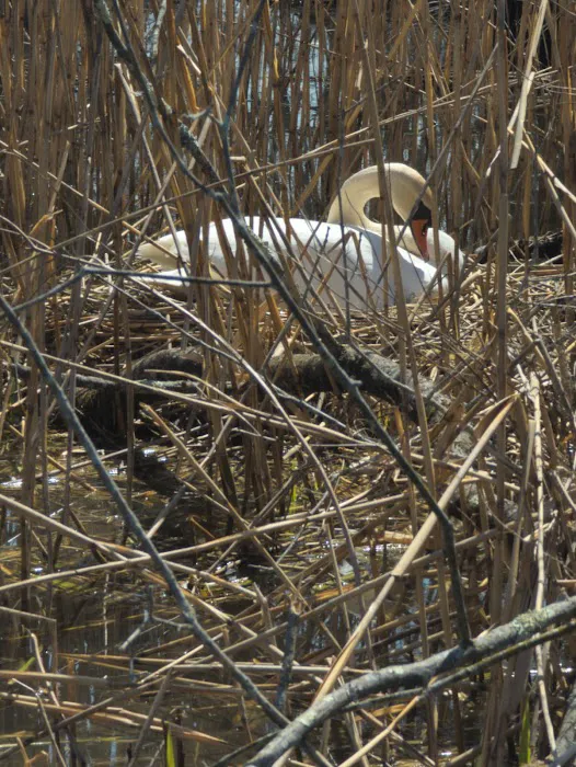 Rockland Lake Nature Center Picture 9