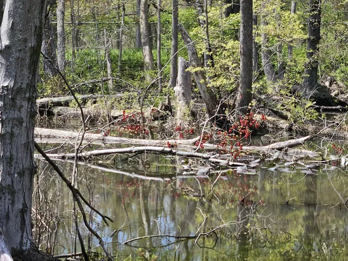 Rockland Lake Nature Center Picture 6