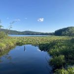 Rockland Lake Nature Center