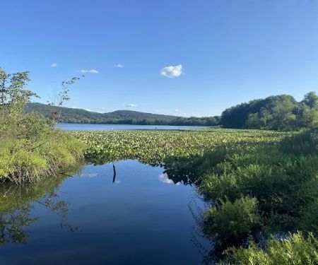 Rockland Lake Nature Center