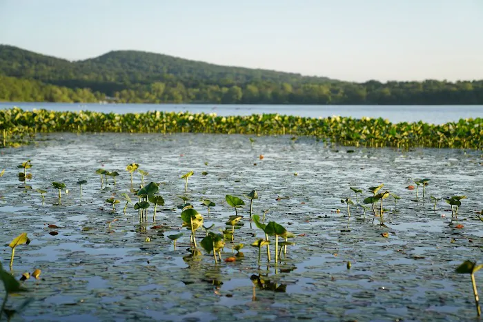 Rockland Lake State Park Picture 9