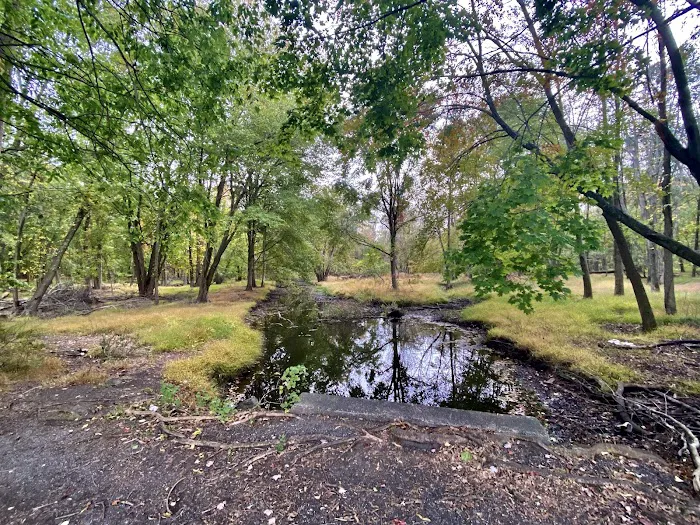 Kings Park Picture 8