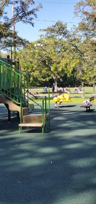 Kings Park Picture 4