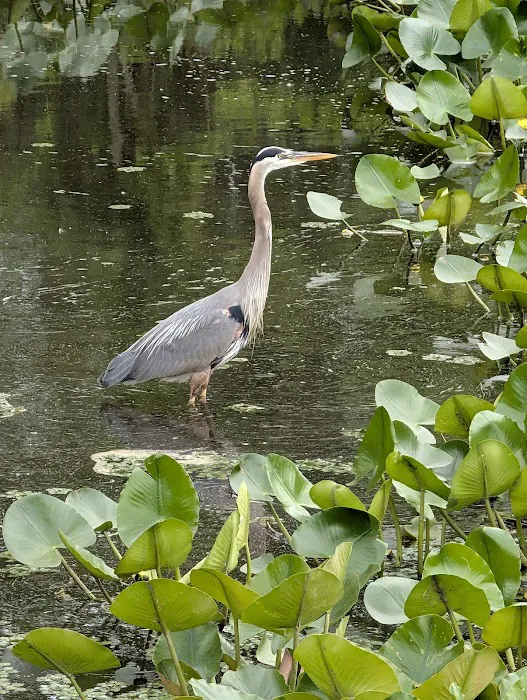 Congers Lake Trailway Picture 4