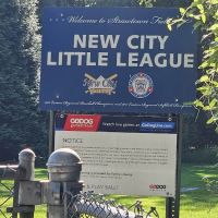 Strawtown Fields ico
