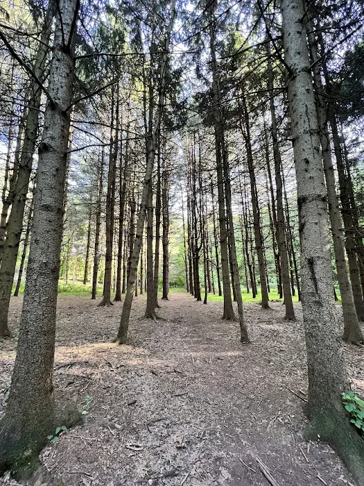 Kennedy Dells County Park Loop Hike Picture 6