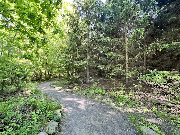 Kennedy Dells County Park Loop Hike Picture 2