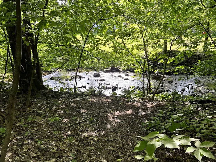 Kennedy Dells County Park Loop Hike Picture 8
