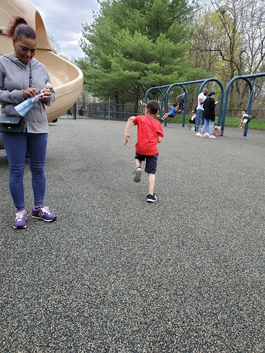 Zukor Park Picture 7