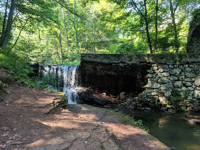 Kennedy - Dells County Park Picture 1