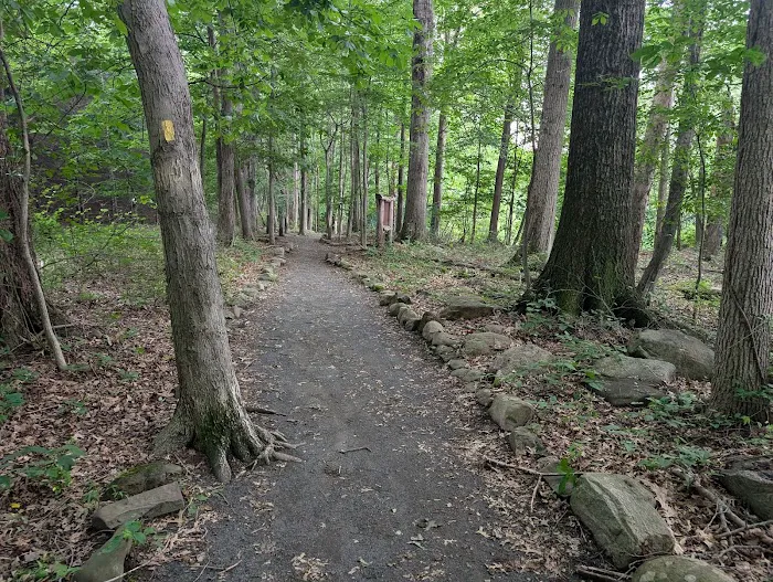 Kennedy - Dells County Park Picture 4