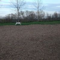 Kennedy Dells Dog Park ico
