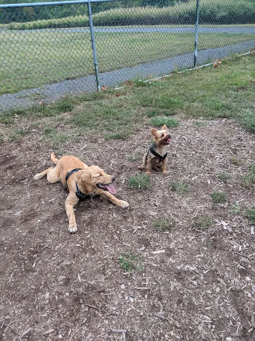 Kennedy Dells Dog Park Picture 9