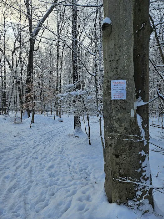 Kennedy Dells Woodhaven Drive trailhead Picture 4