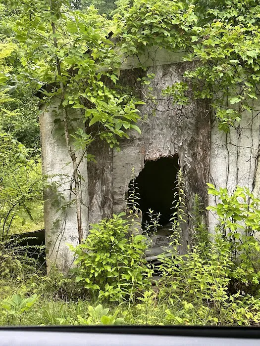 Davenport Preserve Picture 2
