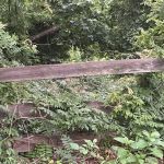 Davenport Preserve