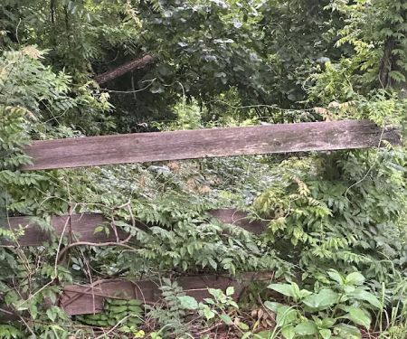 Davenport Preserve