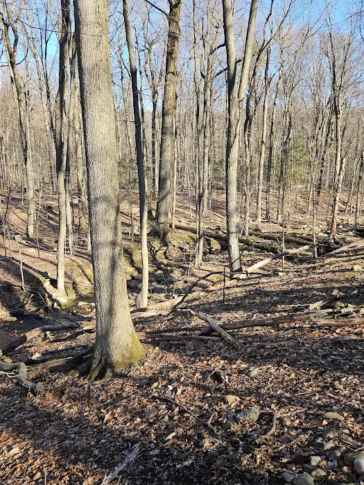 Davenport Preserve Picture 10
