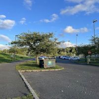 Eugene Levy Memorial Park ico
