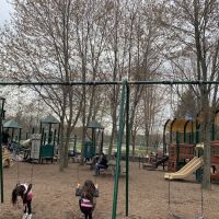 Finch Park ico
