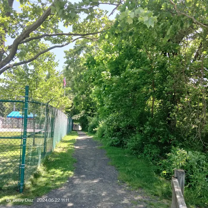 Brooklands Park Picture 6
