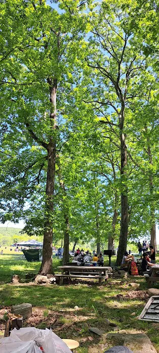 New York Picture 5