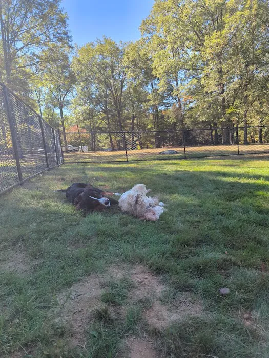 Dog Park Picture 3
