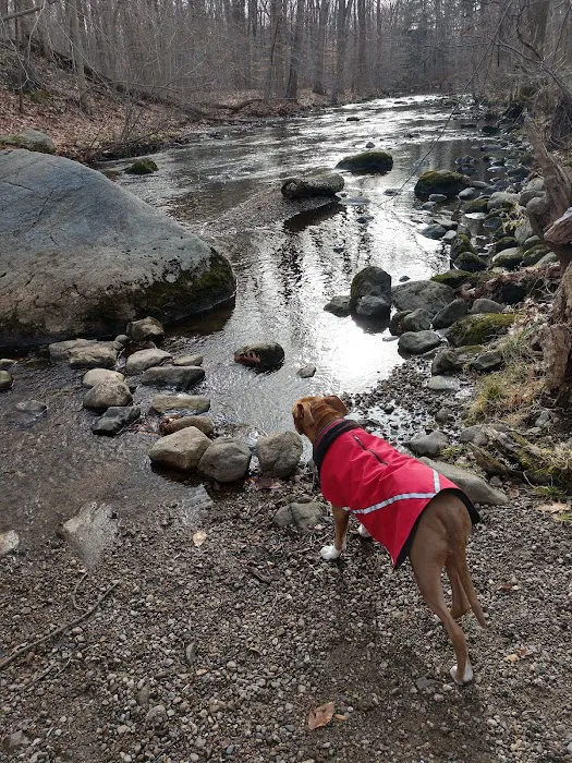 Dog Park Picture 1