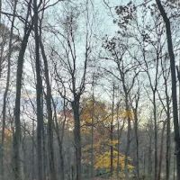 Furnace Dock Lake Park ico