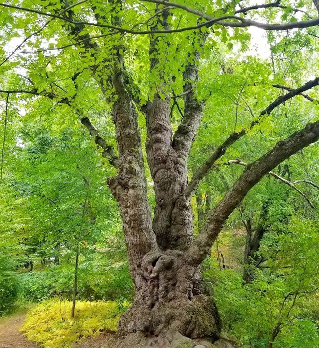 Brinton Brook Sanctuary Picture 1