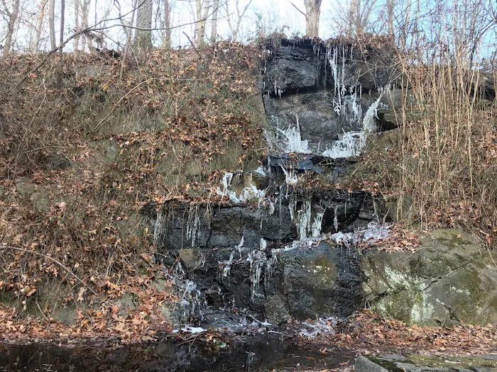 Brinton Brook Sanctuary Picture 7