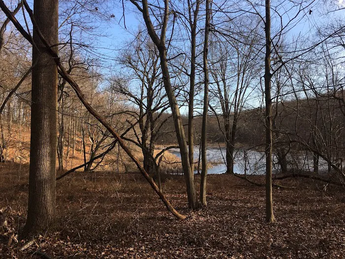 Brinton Brook Sanctuary Picture 4