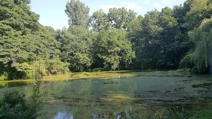 Brinton Brook Sanctuary Picture 5