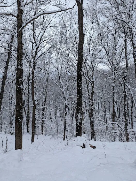 Brinton Brook Sanctuary Picture 10