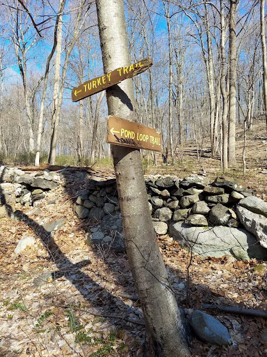 Brinton Brook Sanctuary Picture 6