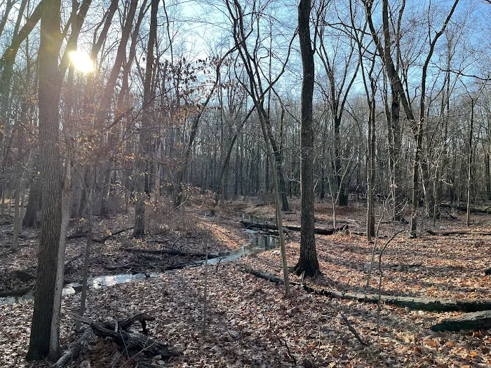 Blue Mountain Park Picture 7