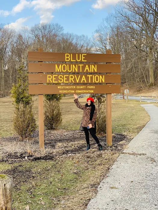 Blue Mountain Park Picture 5
