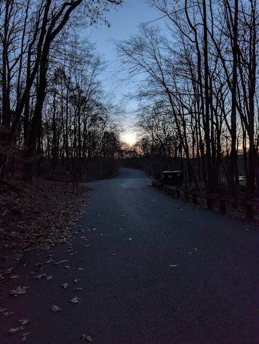Blue Mountain Park Picture 9