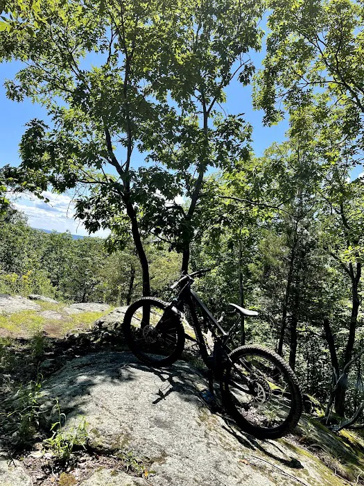 Blue Mountain Park Picture 6