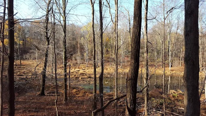 Blue Mountain Park Picture 2