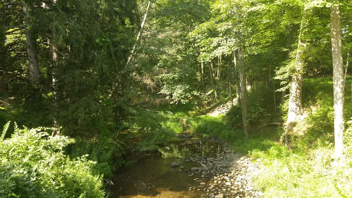 Hunter Brook Preserve Picture 2