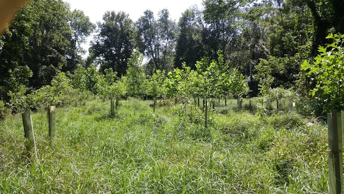 Hunter Brook Preserve Picture 6