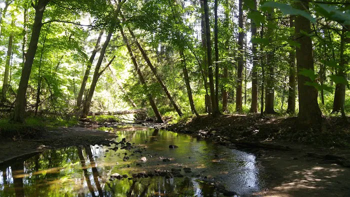 Hunter Brook Preserve Picture 5