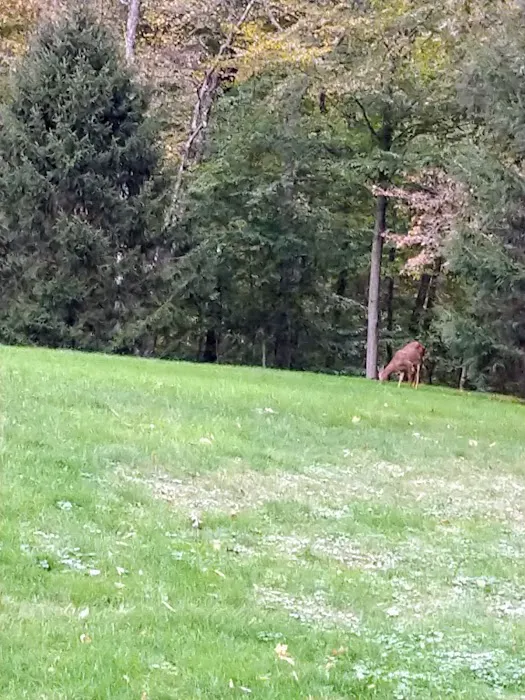 Hunter Brook Preserve Picture 9