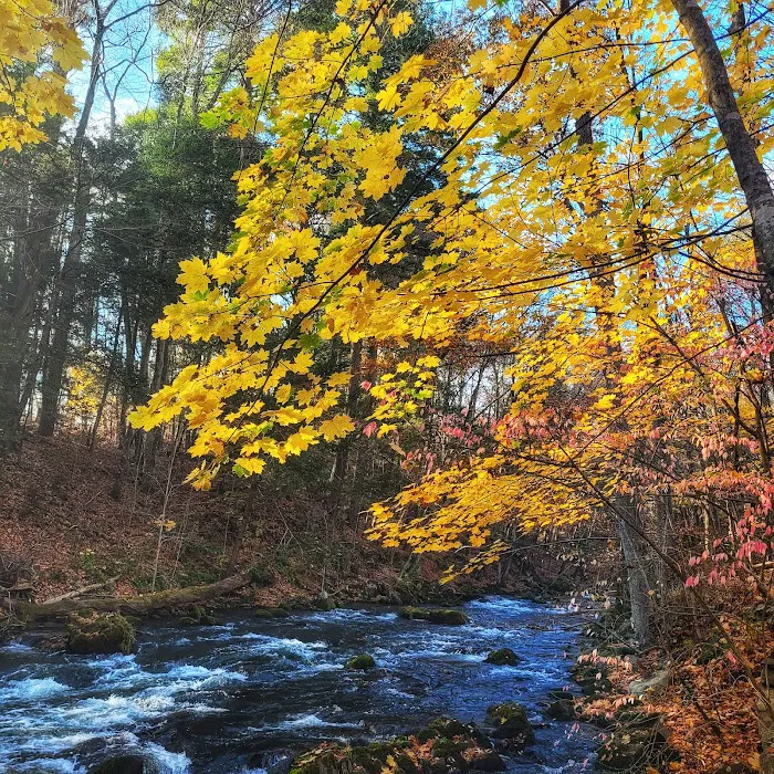 Hunter Brook Preserve Picture 10