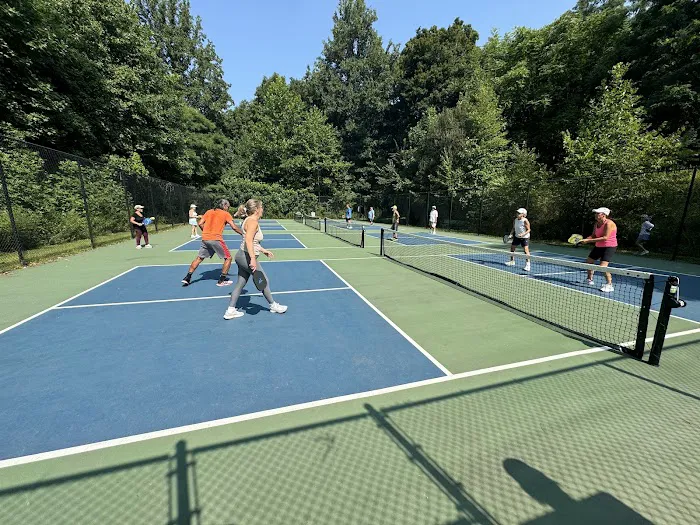 Pickle ball courts Picture 1